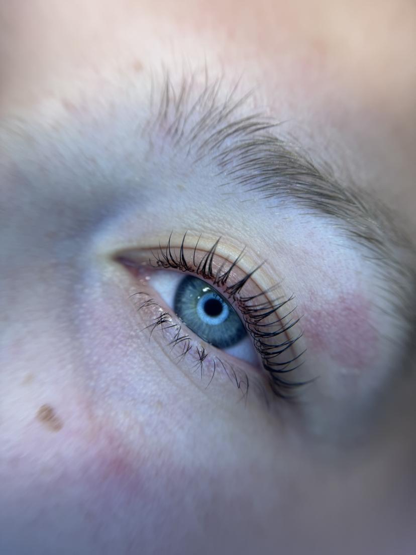 Korean lash lift results