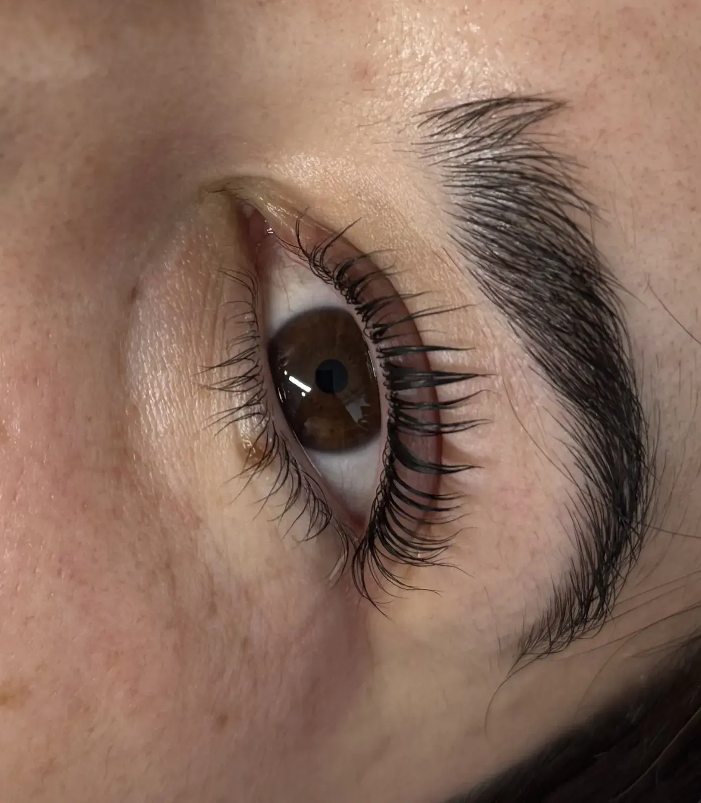 Close-up of a Korean lash lift and tint result